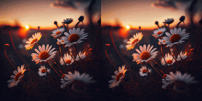 white flower photo to video ai