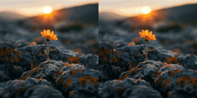 generate photo to video