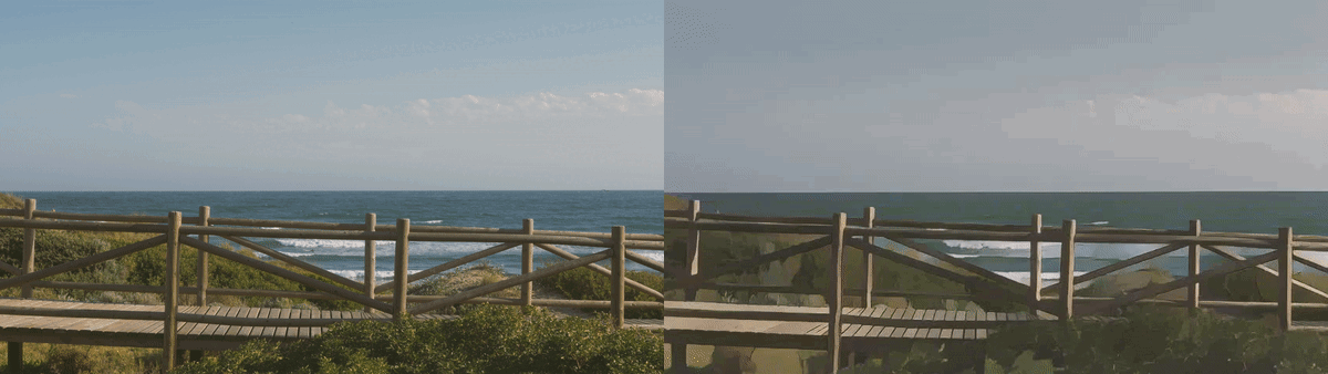 cycling Video to Animation Generator