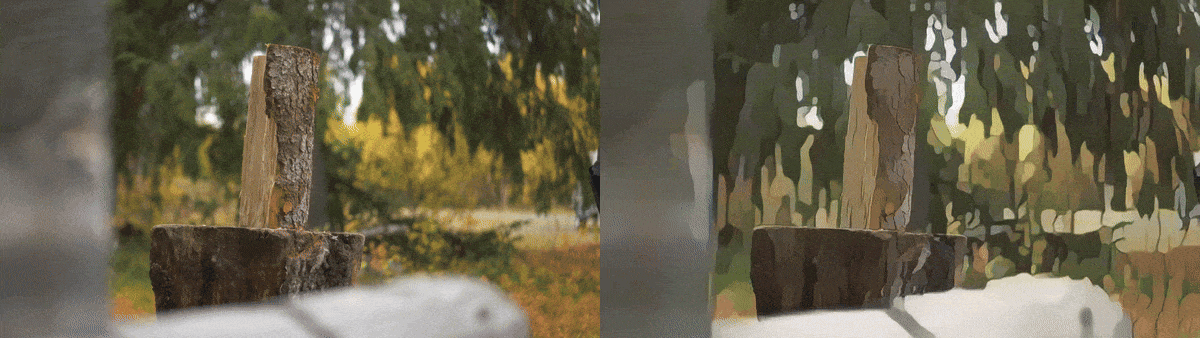 wood cut Video to Animation Generator