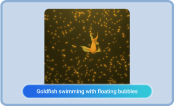 AI GIF Generator